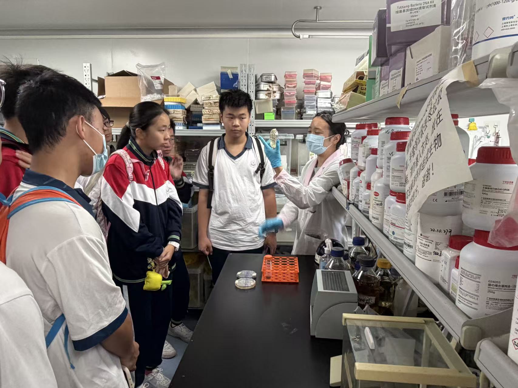 1762219240330682.jpg 1762219240330682.jpg