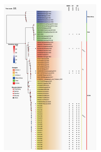 1763710513181319.png 1763710513181319.png