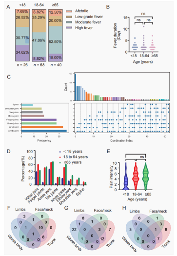 1763710535340768.png 1763710535340768.png