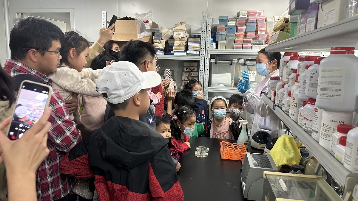 1764032567610628.jpg 1764032567610628.jpg