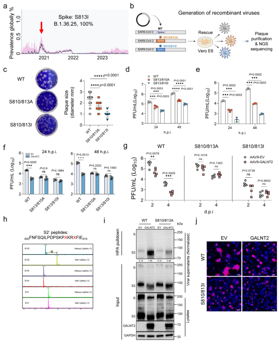 1765765358395416.png 1765765358395416.png