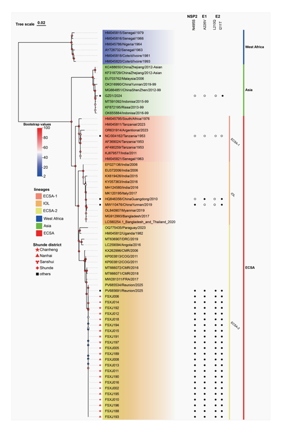 1765780738450086.png 1765780738450086.png