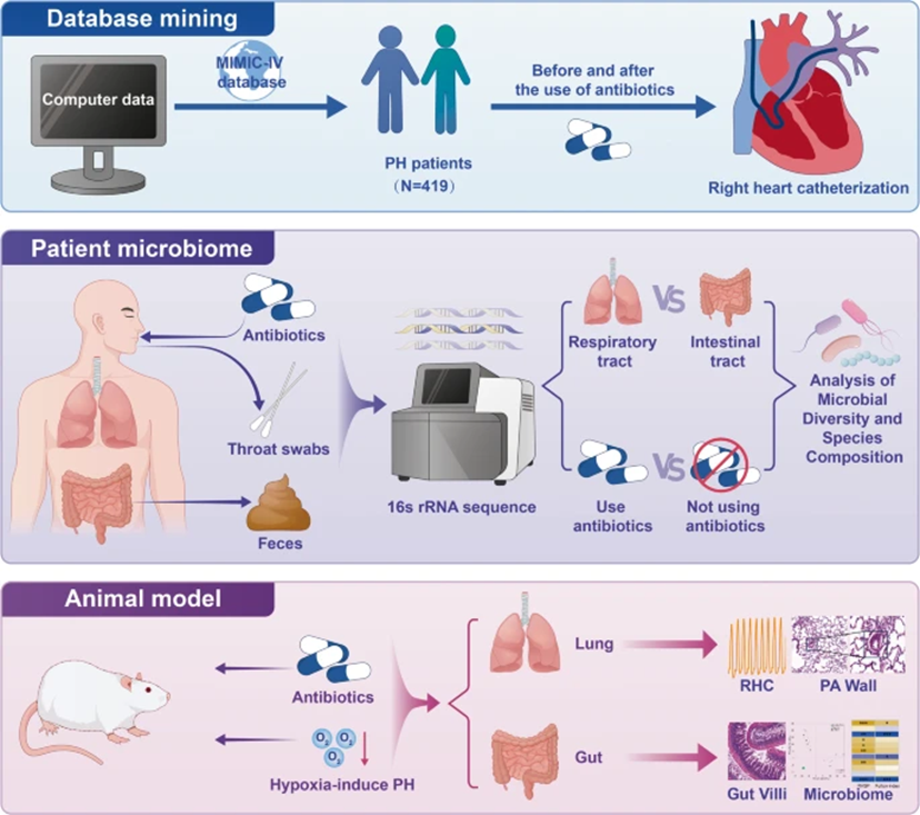 1765783268271332.png 1765783268271332.png