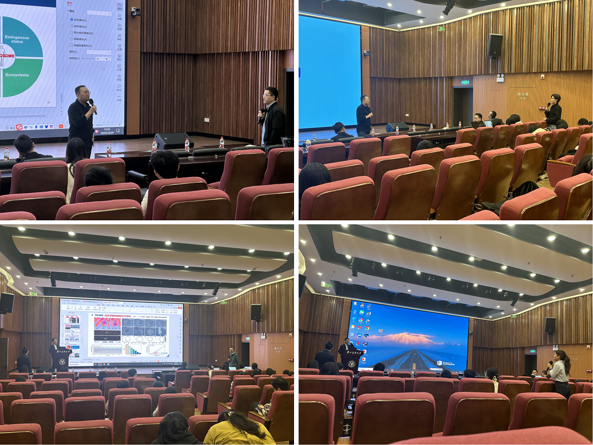 1767165083442018.png 1767165083442018.png