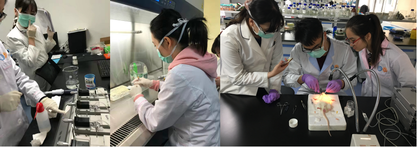 2.png 1513041465956060.png