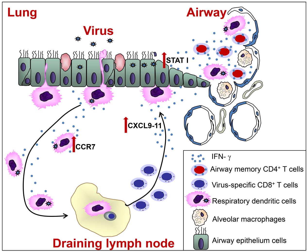 1466139202209440.jpg 1466139202209440.jpg