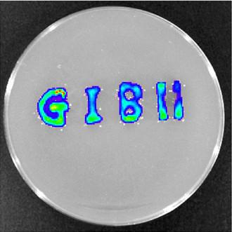 1434618251194505.jpg 图片2.jpg