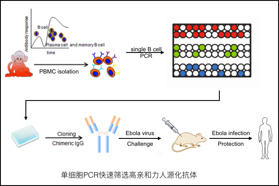 1463817293190475.jpg 1463817293190475.jpg