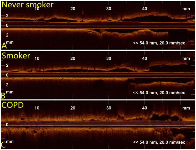 1481683900392157.png 1481683900392157.png