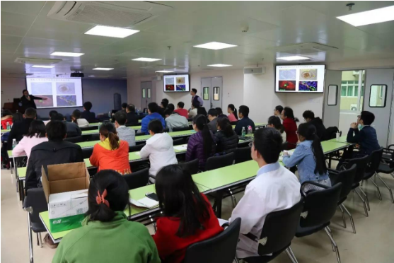 1501125078950375.png 1501125078950375.png