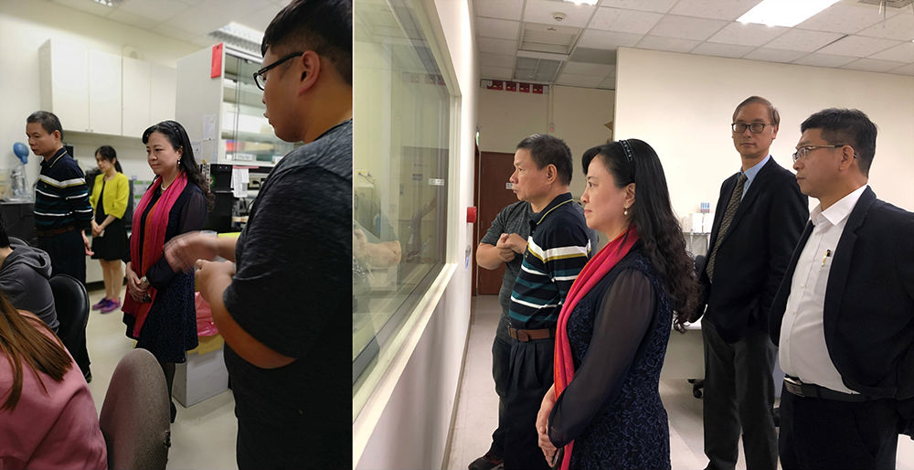 2.png 1543649099722247.png