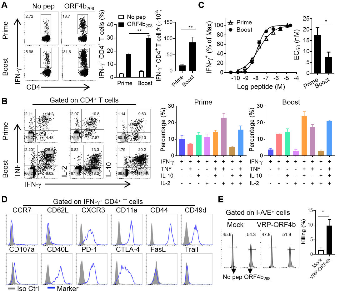 1772586967207119.png 1772586967207119.png